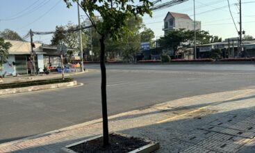 cho thuê mặt bằng Thị Xã Phú Mỹ BR-VT